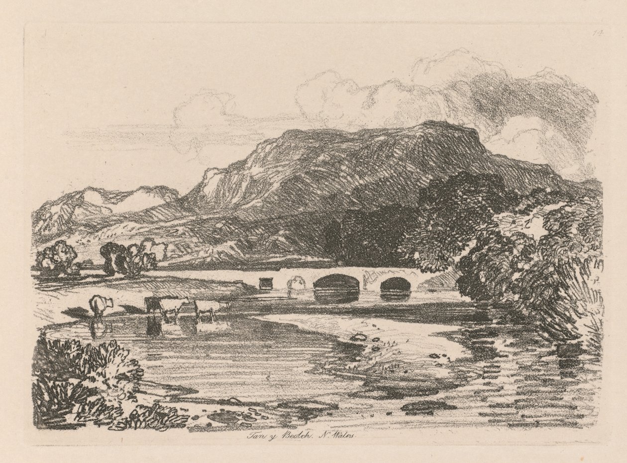 Studiebog: Plade 14, Tan-y-Bwlch, Merionethshire, North Wales, 1838 af John Sell Cotman