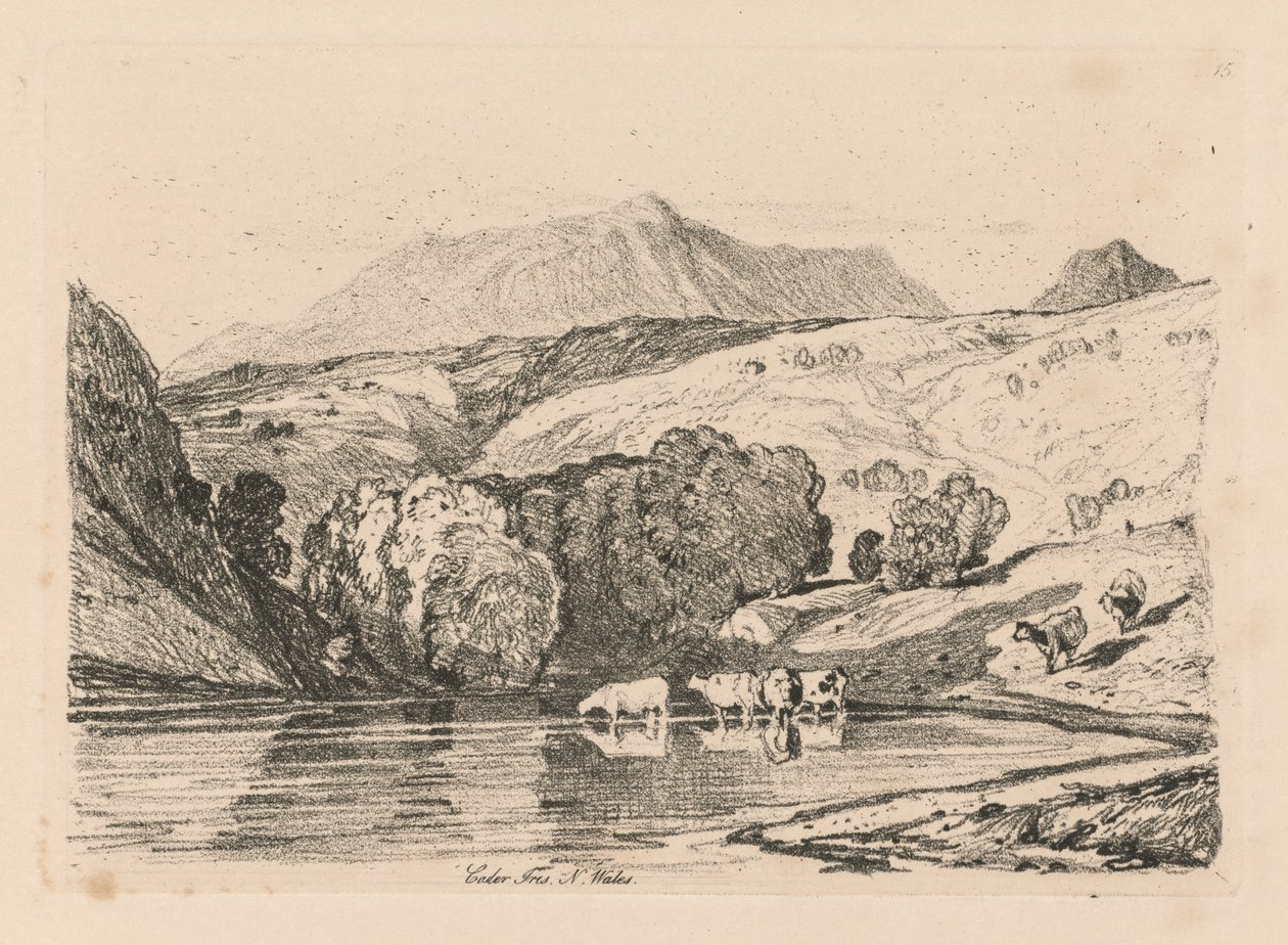 Studiebog: Plade 15, Cader Iris, North Wales af John Sell Cotman