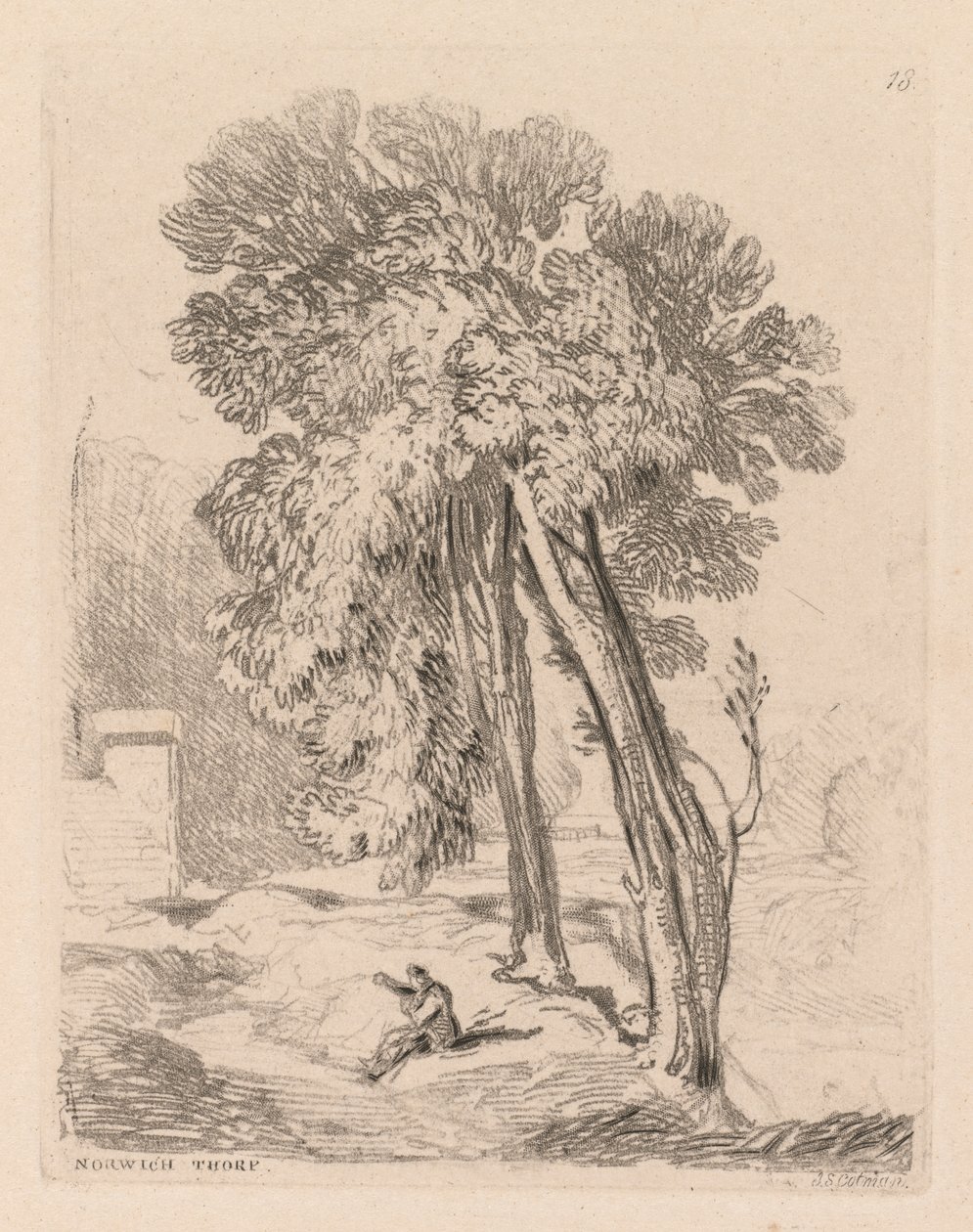 Liber Studiorum: Plade 18, Trees at Norwich Thorp, Norfolk af John Sell Cotman