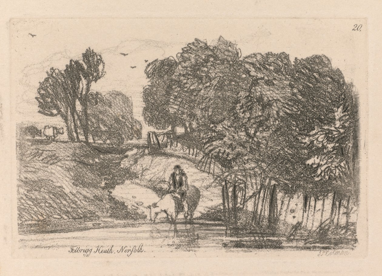 Liber Studiorum: Plade 20, Felbrigg Heath, Norfolk af John Sell Cotman