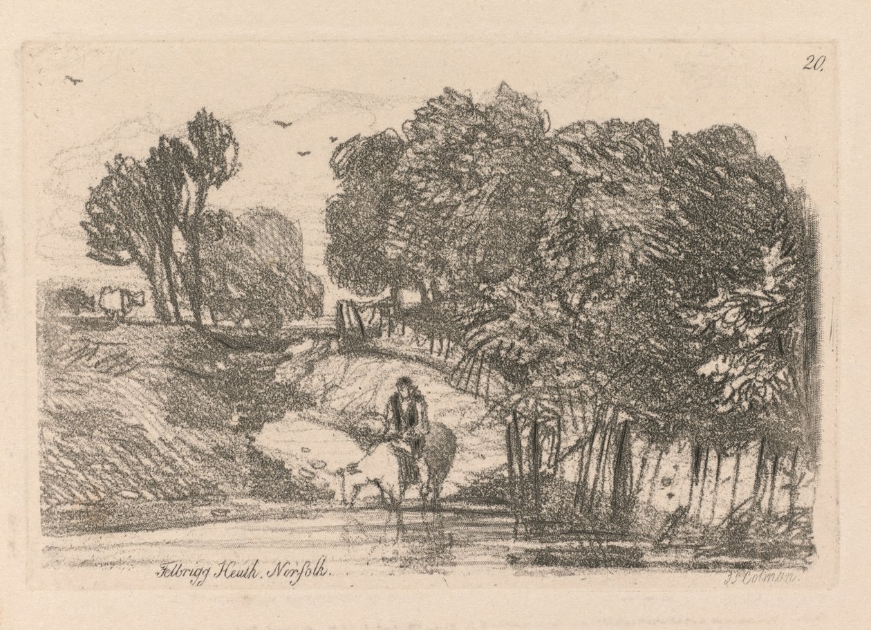 Liber Studiorum: Plade 20, Felbrigg Heath, Norfolk, 1838 af John Sell Cotman