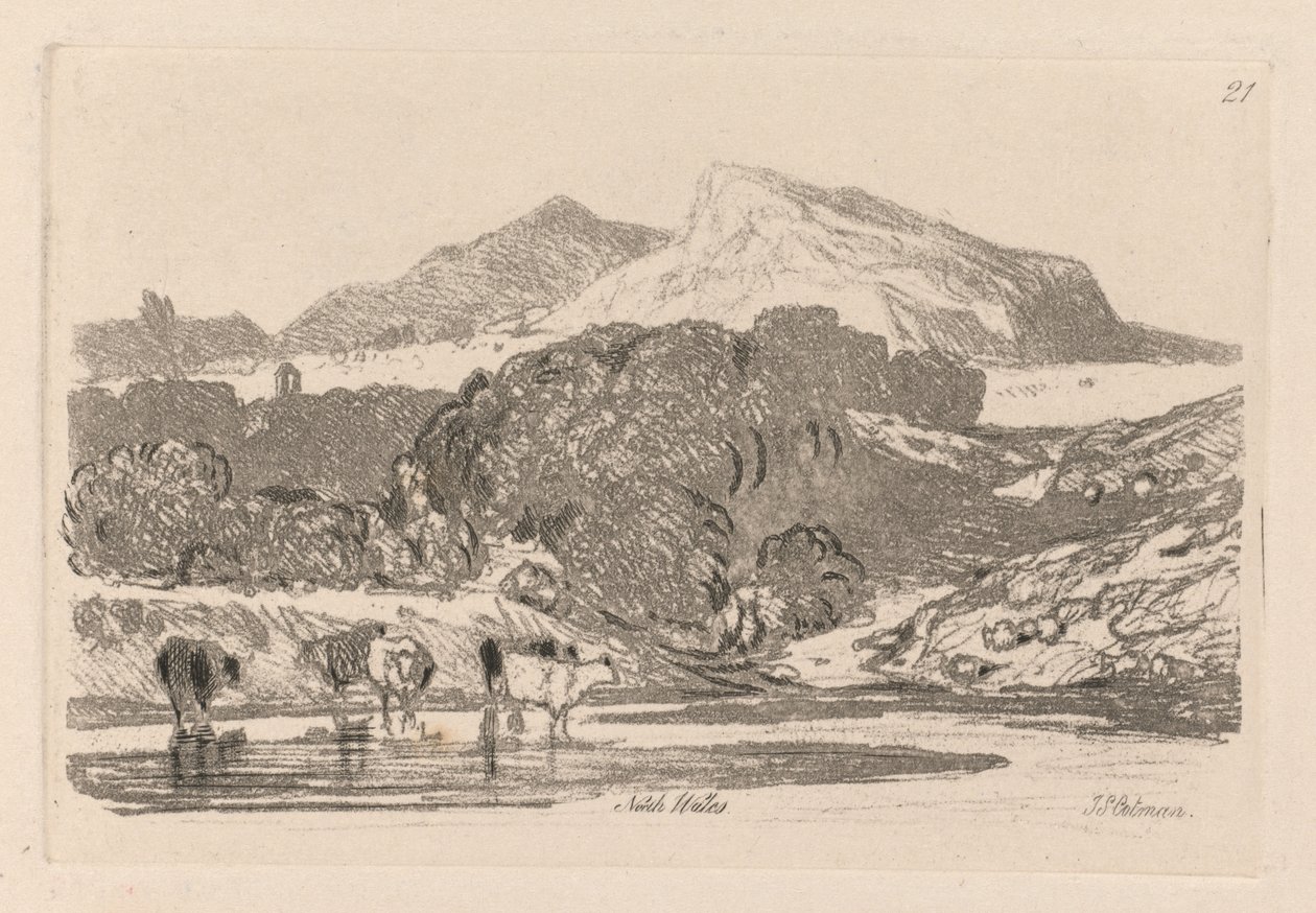 Liber Studiorum: Plade 21, View in North Wales, 1838. af John Sell Cotman