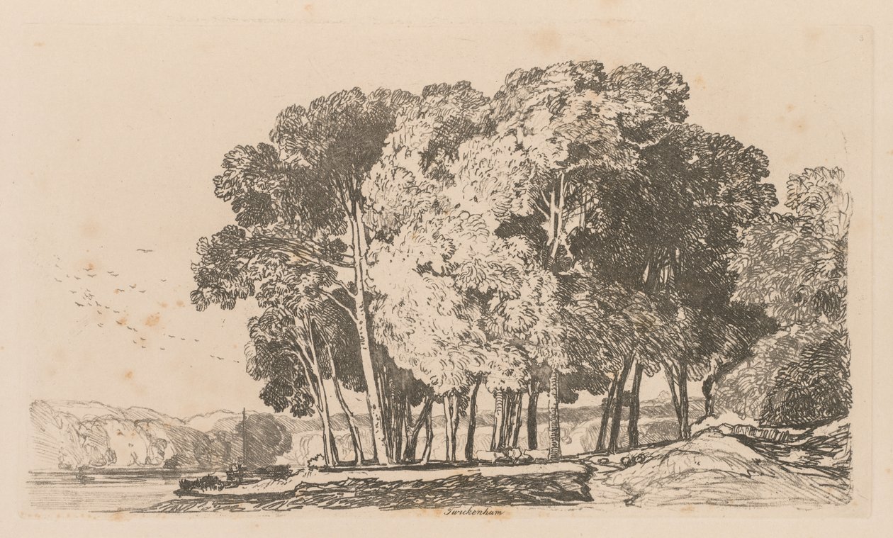 Liber Studiorum: Plade 3, Træer nær Twickenham af John Sell Cotman