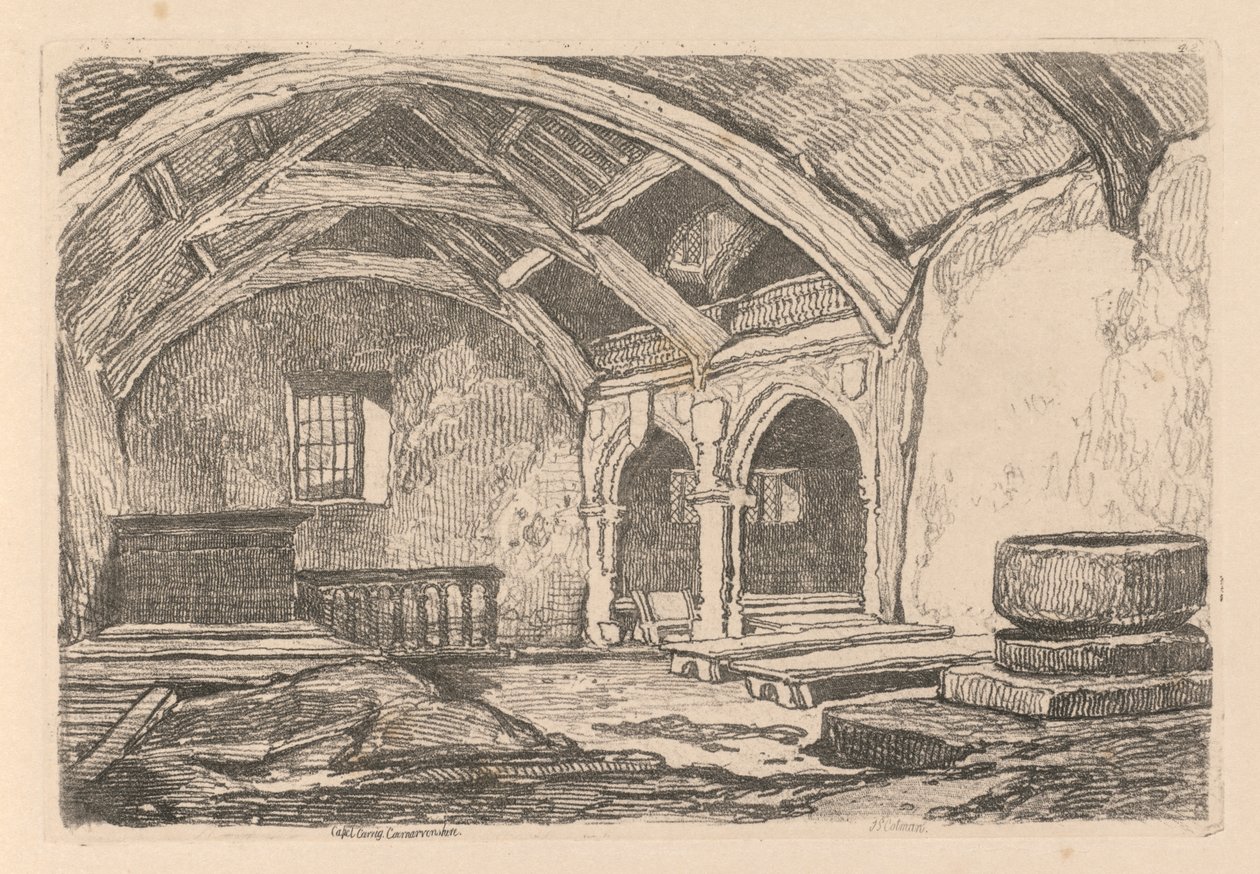 Studiebog: Plade 42, Capel Carrig, Caernarvonshire af John Sell Cotman