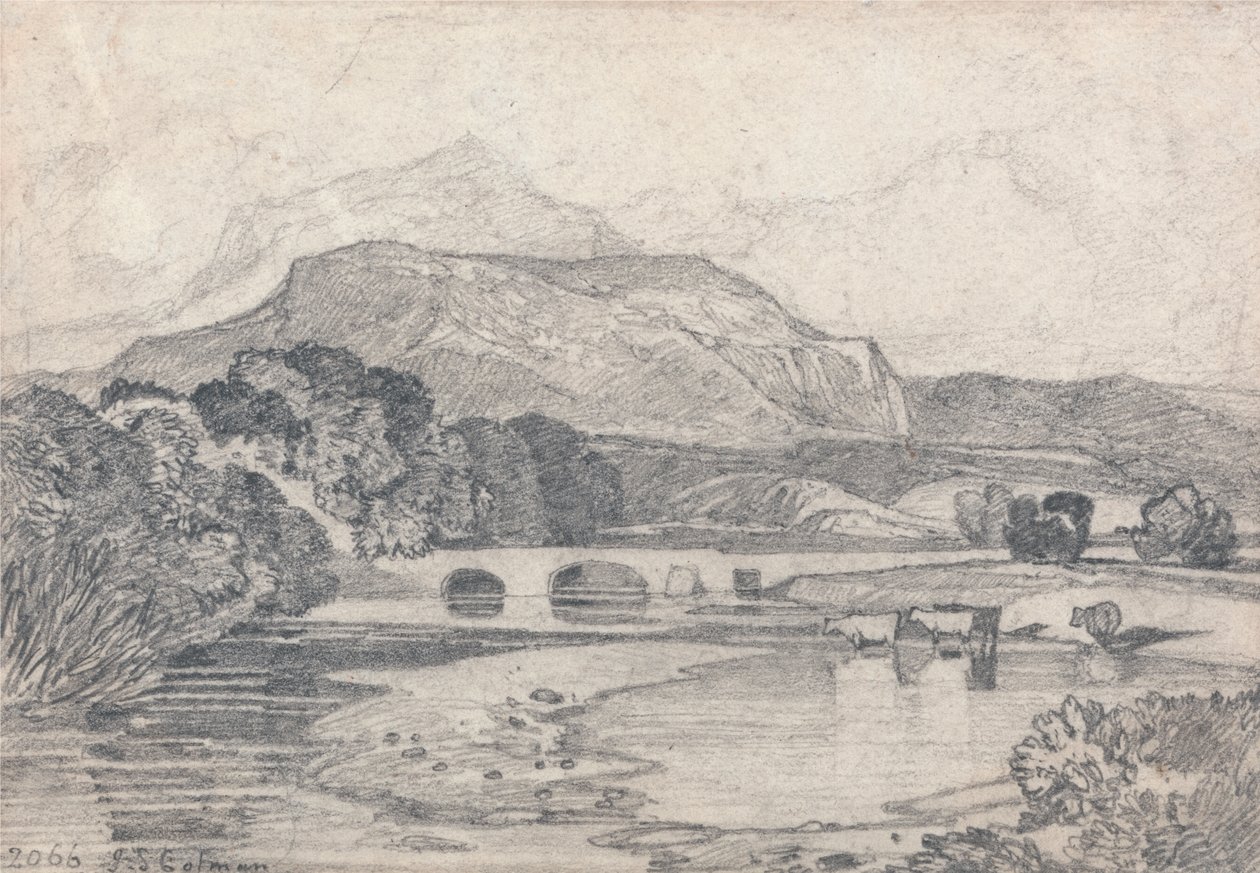 Tan-y-Bwlch, North Wales af John Sell Cotman