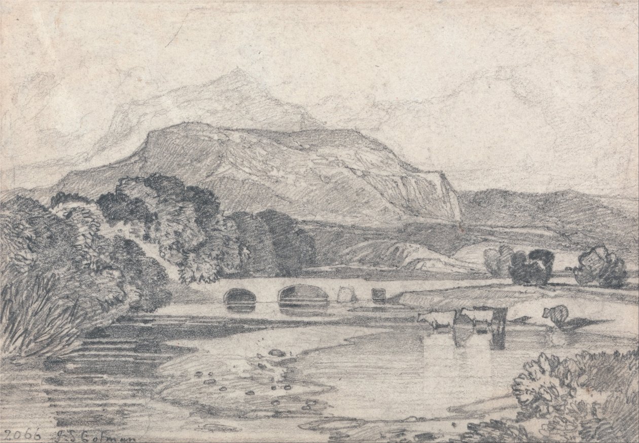 Tan-y-Bwlch, det nordlige Wales af John Sell Cotman