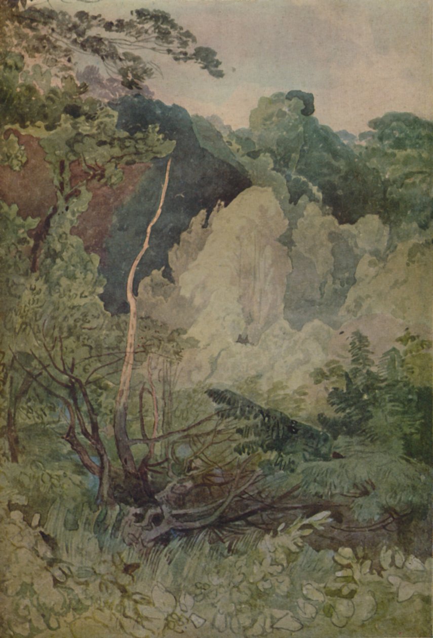 Træer nær Greta-floden, 1923 af John Sell Cotman