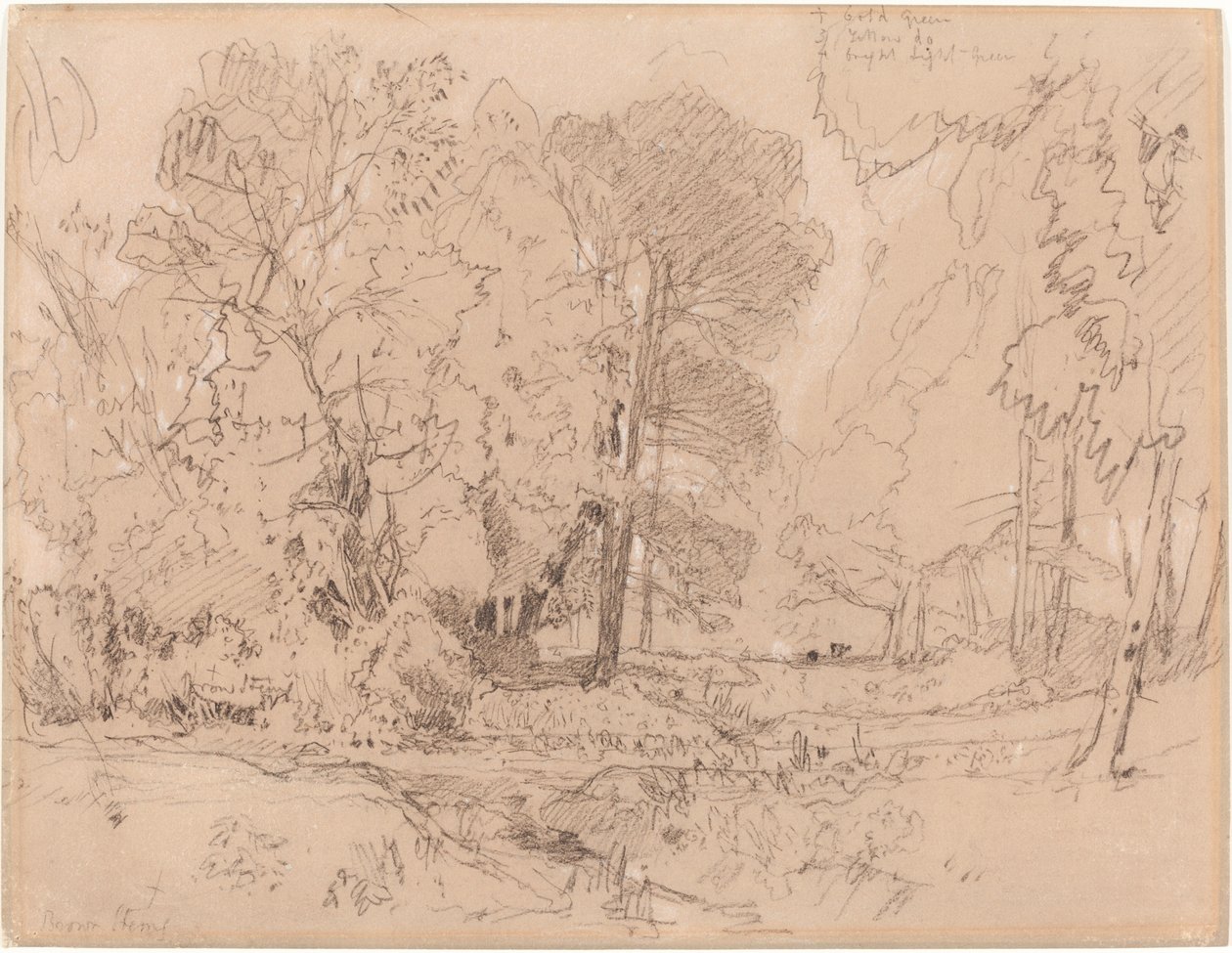 Skovklædt Landskab af John Sell Cotman