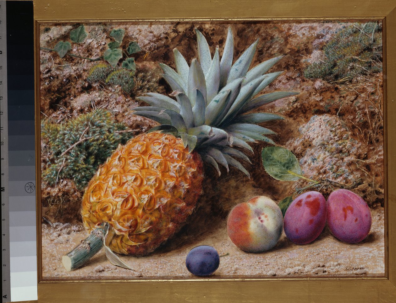 En ananas, en fersken og blommer på en mosede bred af John Sherrin