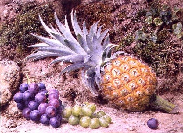 En ananas og drueklaser på en mosbevokset bred af John Sherrin