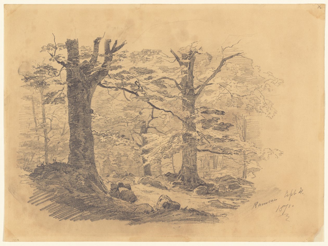 Skov, Ramsau, Tyskland, 1871. af John Singer Sargent