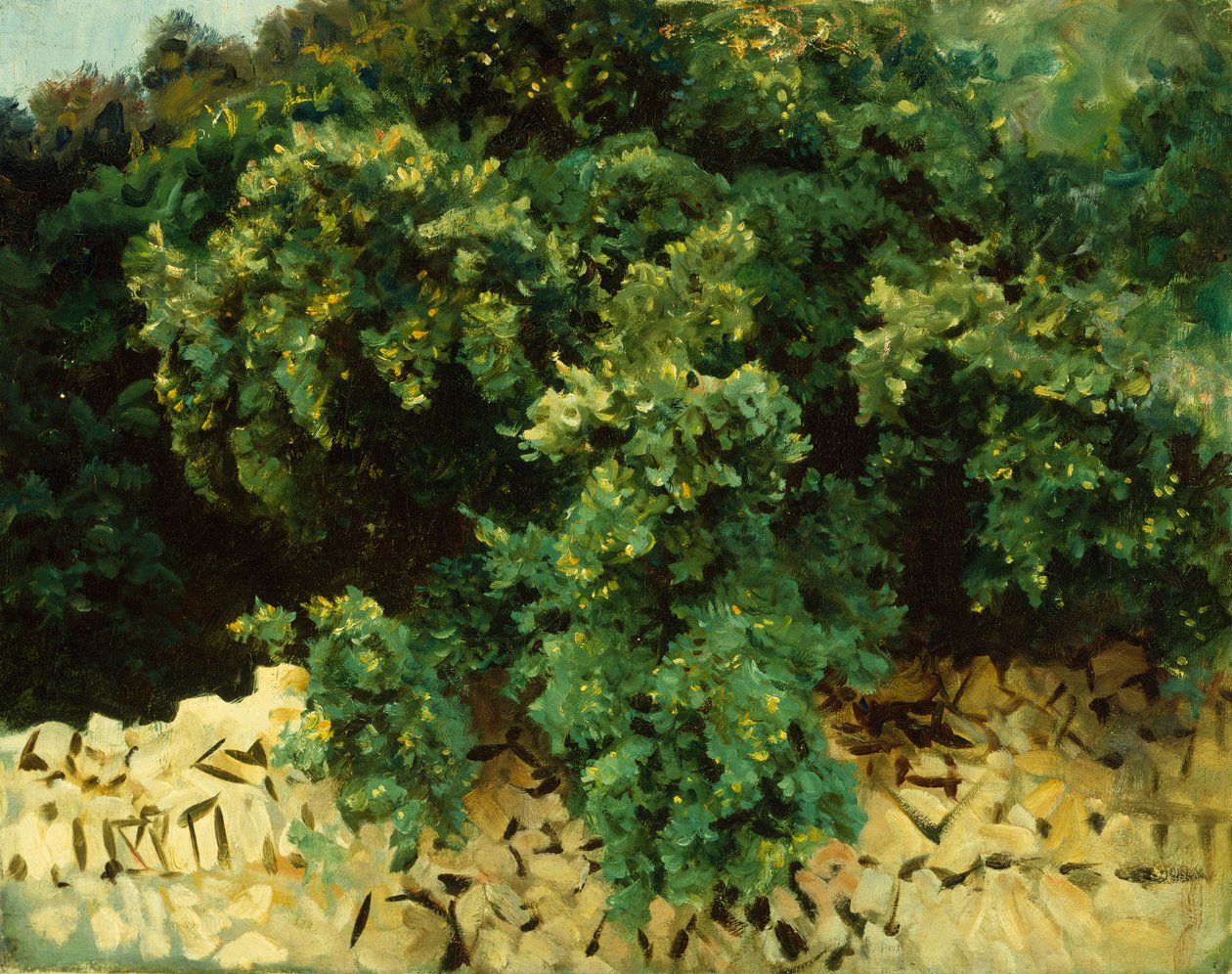 Ilex-træ, Mallorca af John Singer Sargent