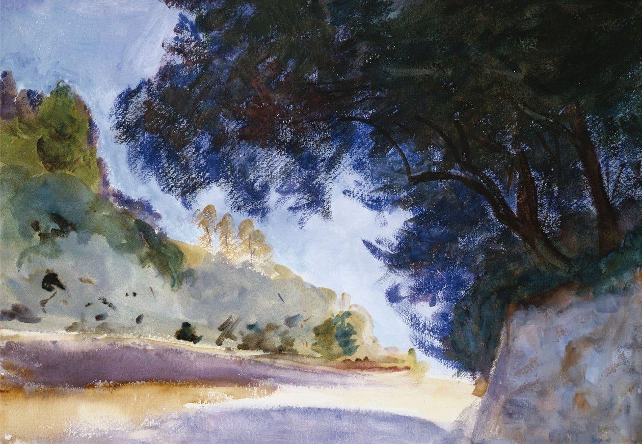 Landskab, Oliventræer, Korfu, 1909 af John Singer Sargent