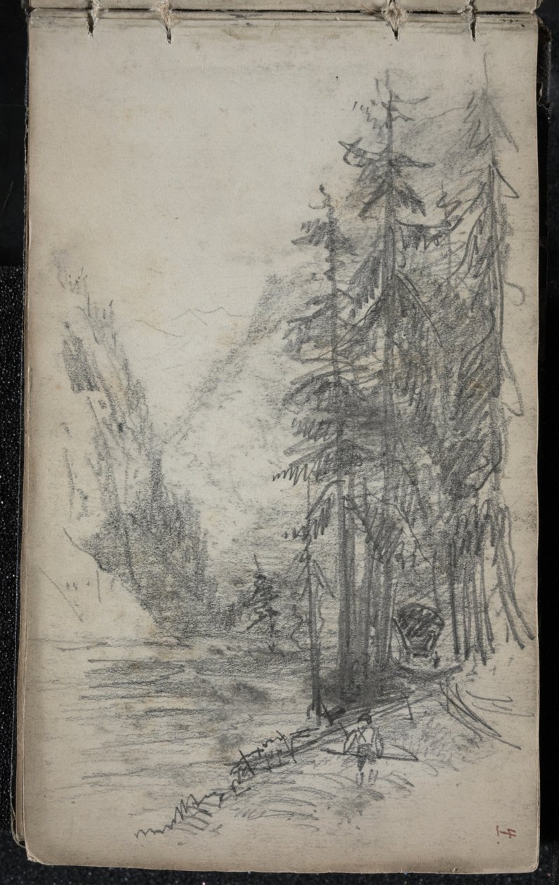 Bjerglandskab med træer, 1871-72 (grafit på mørklagt råhvidt vævet papir) af John Singer Sargent