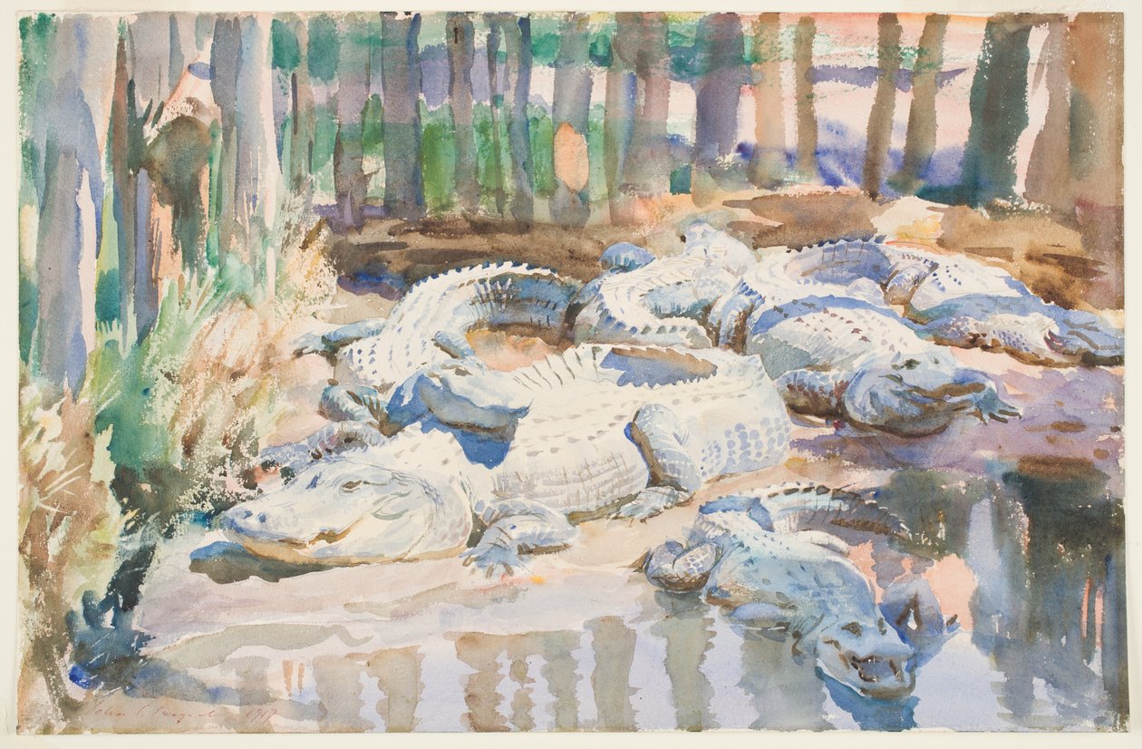 Muddy Alligators, 1917 (wc over grafit på papir) af John Singer Sargent