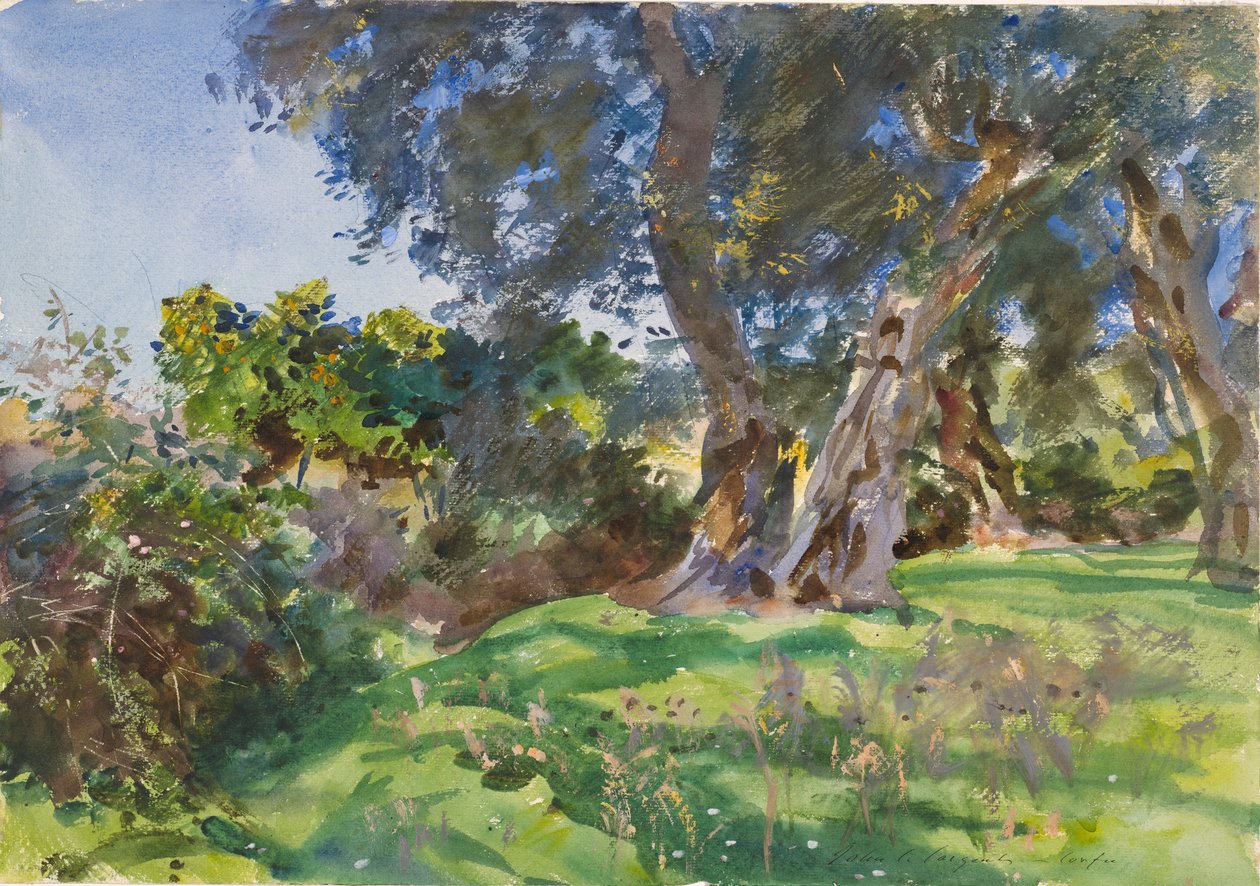 Oliventræer, Korfu af John Singer Sargent