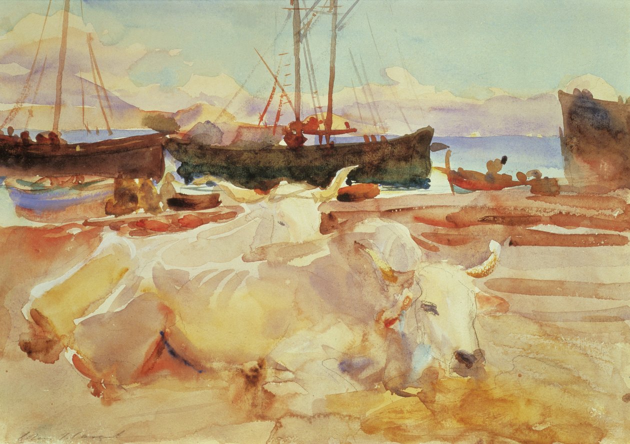 Okser på stranden ved Baia, ca. 1908 (wc på papir) af John Singer Sargent