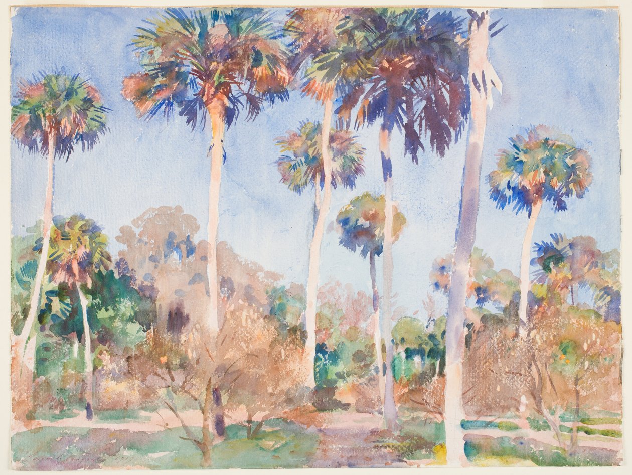 Palms, 1917 (wc over grafit på papir) af John Singer Sargent