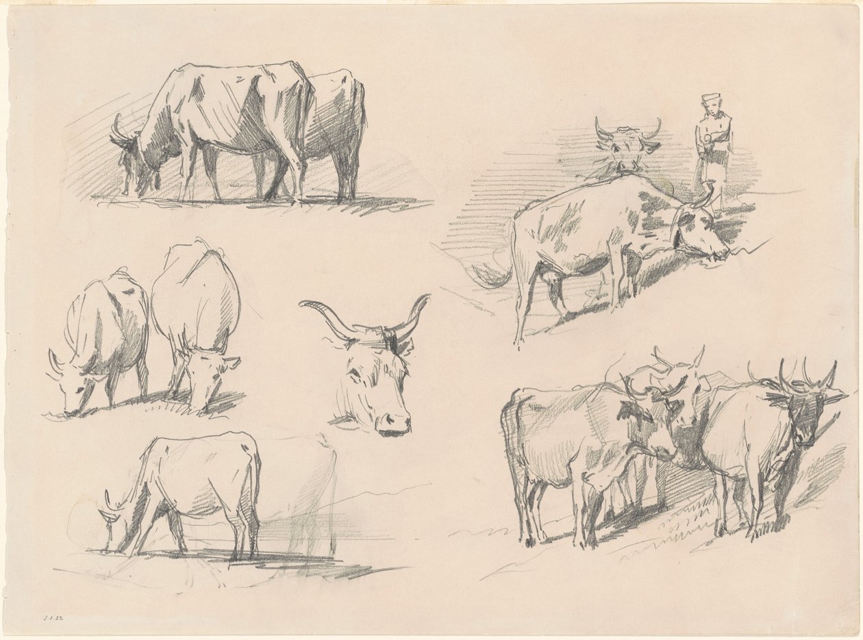 Studier af kvæg, ca. 1872. af John Singer Sargent