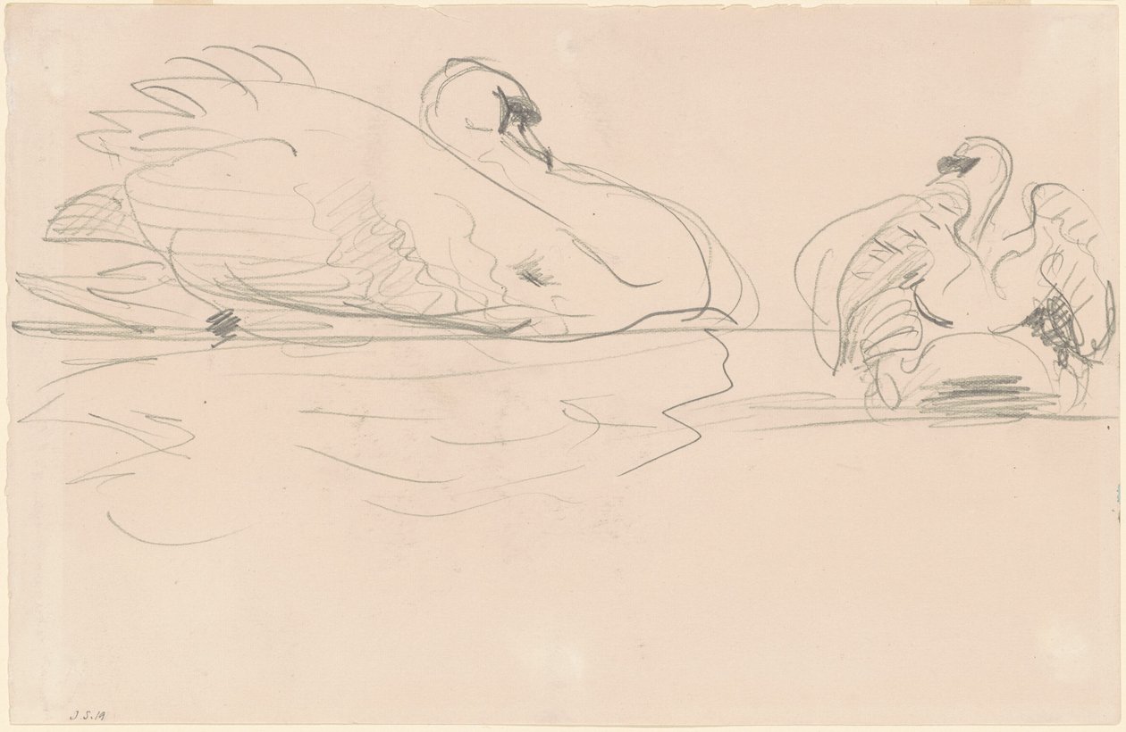Svaner i vandet af John Singer Sargent