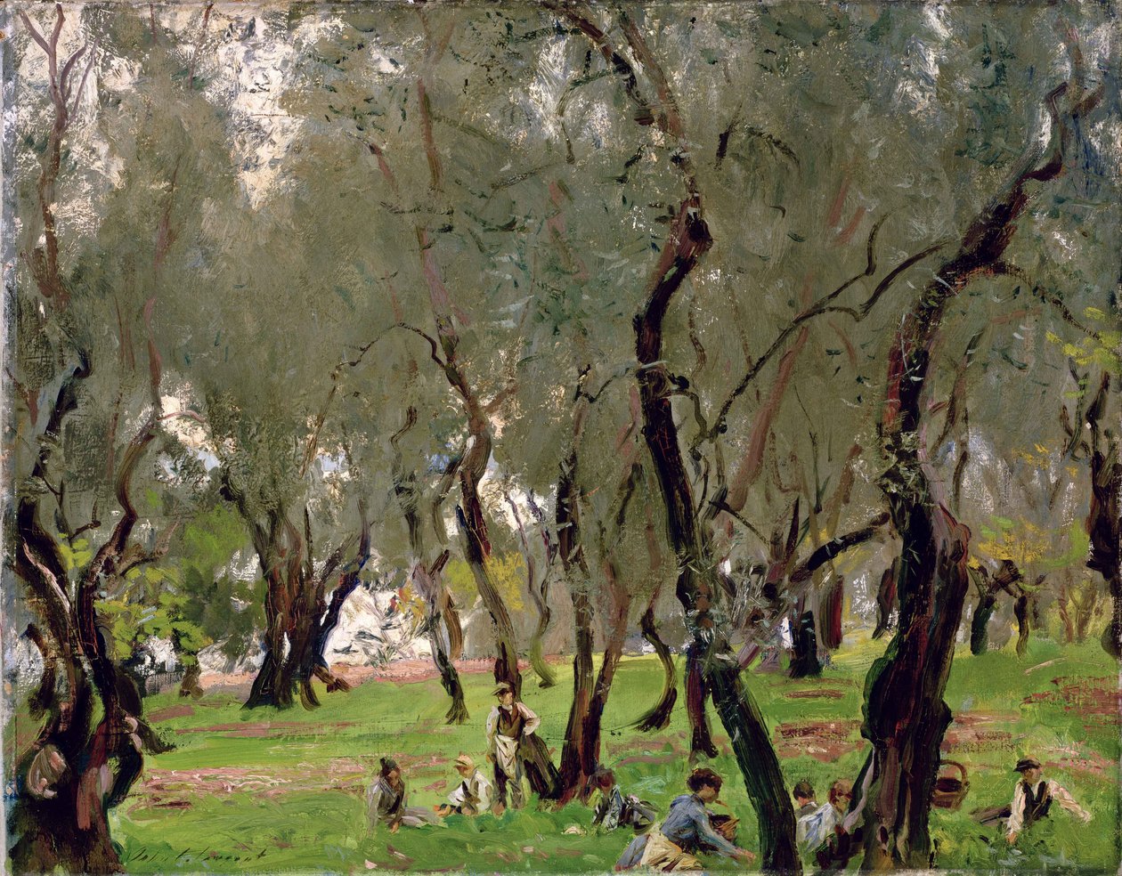 The Olive Grove, ca. 1910 (olie på lærred) af John Singer Sargent
