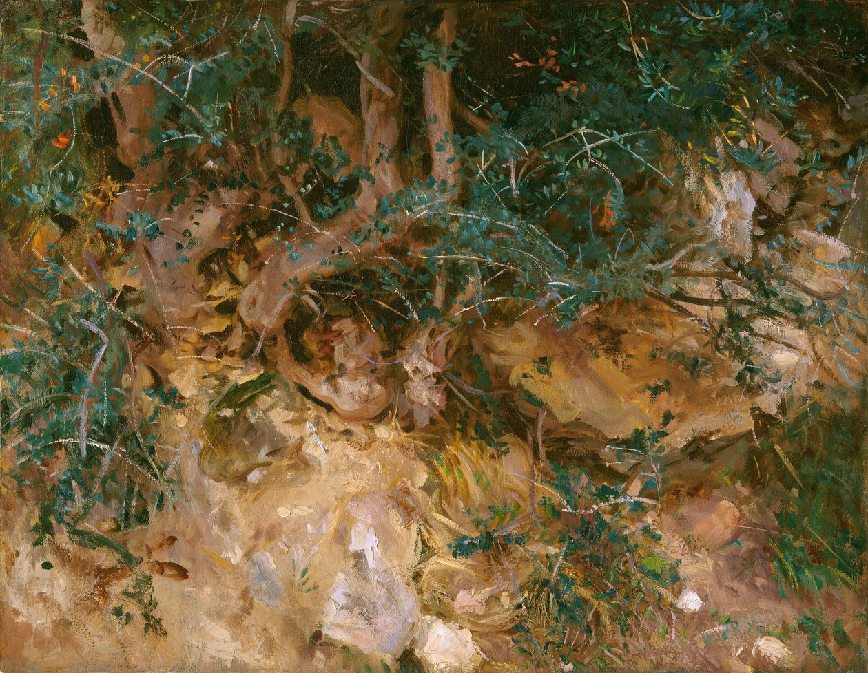 Valdemosa, Mallorca: Tidsler og urter på en bakkeskråning, 1908. af John Singer Sargent