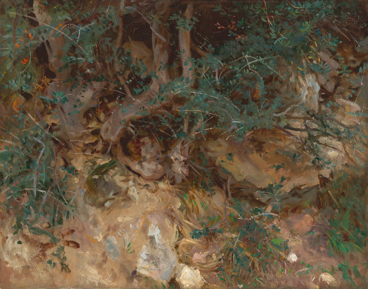 Vilde oliventræer, Valldemosa, Mallorca af John Singer Sargent