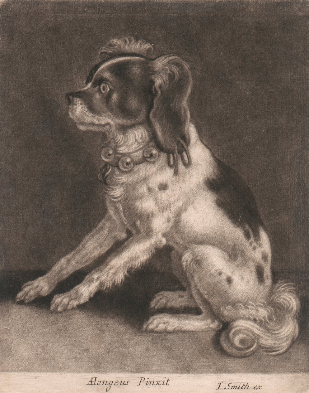 En hund med et klokkehalsbånd af John Smith