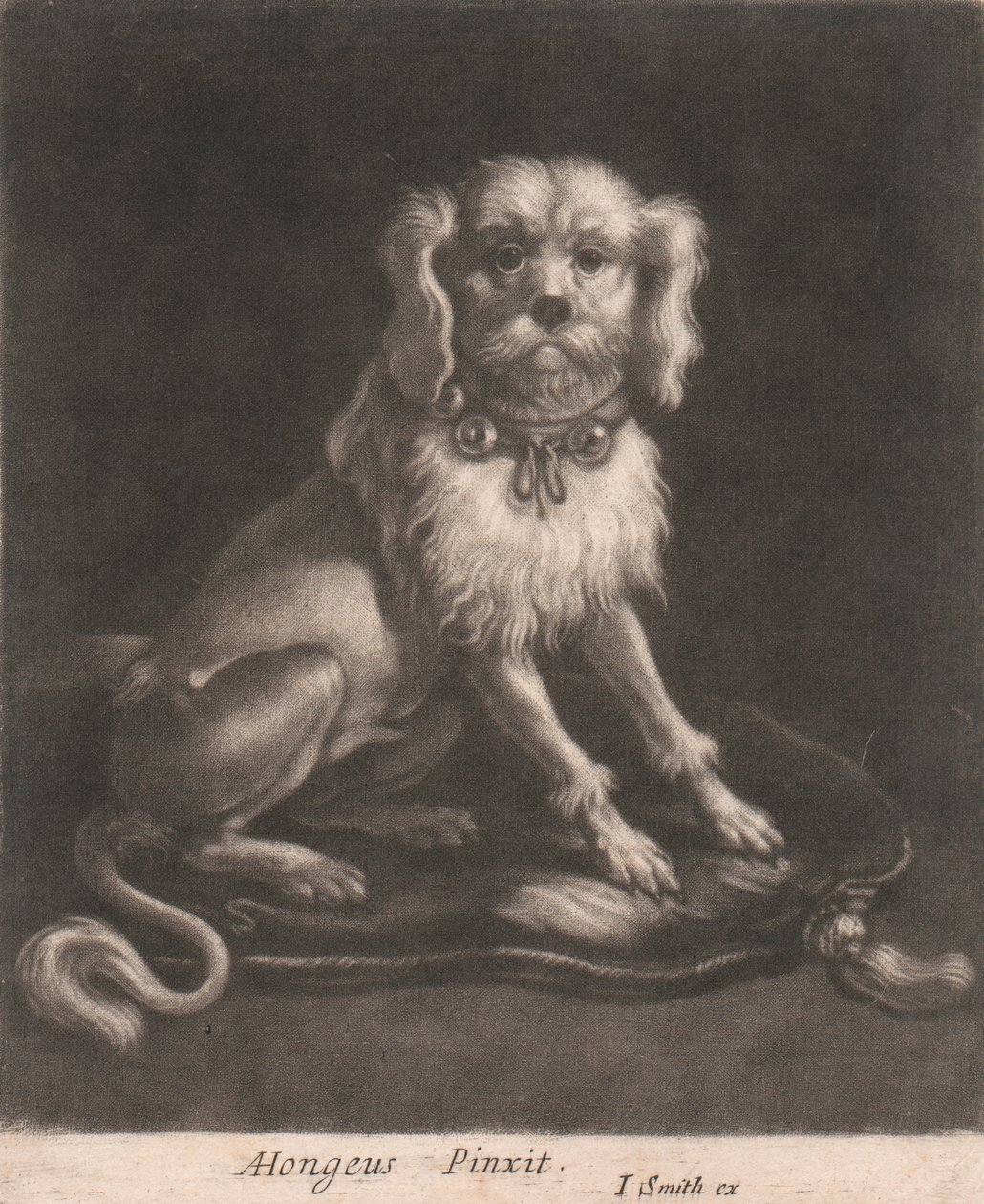 En lille hund iført halsbånd. af John Smith