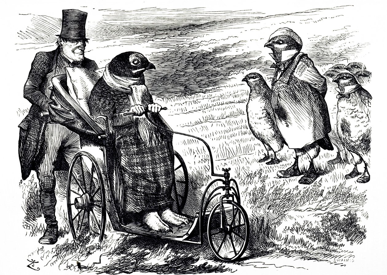 En tegneserie, der kommenterer suspenderingen af Grouse Shooting for at give bestanden mulighed for at genopbygge. Illustreret af John Tenniel (1820-1914), en engelsk illustrator, grafisk humorist og politisk tegneserieskaber af John Tenniel