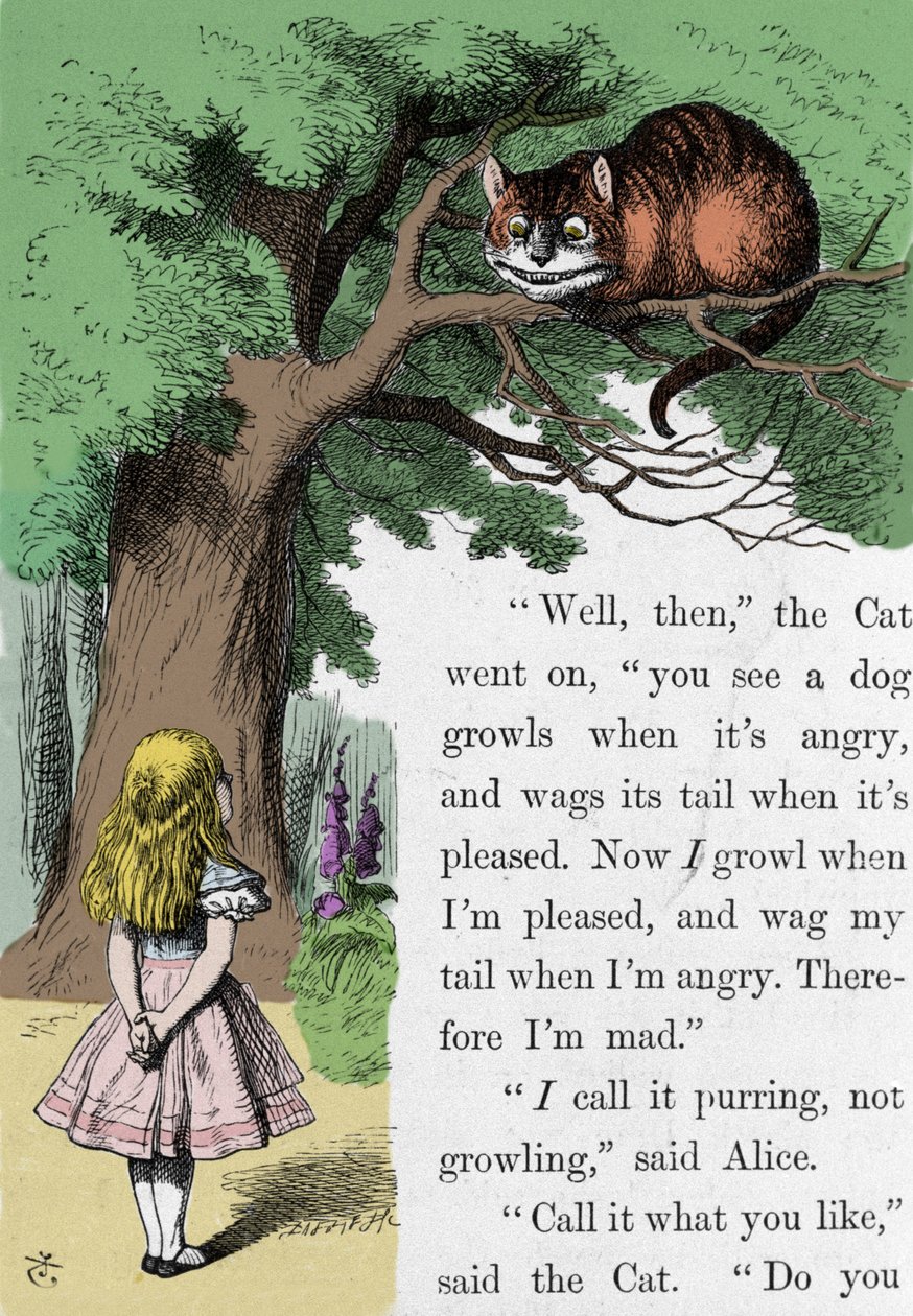 Alice and the Cat, illustration af Sir John Tenniel til den første udgave af Alice in Wonderland af den engelske forfatter Lewis Carroll (Charles Lutwidge Dodgson) (1832-1898). af John Tenniel