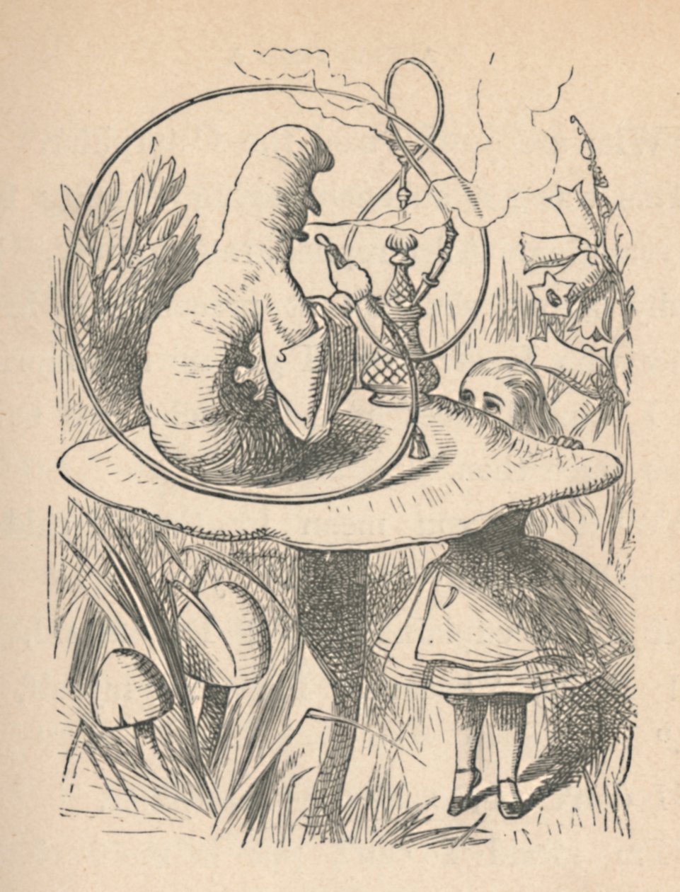 Alice og larven, 1889 af John Tenniel