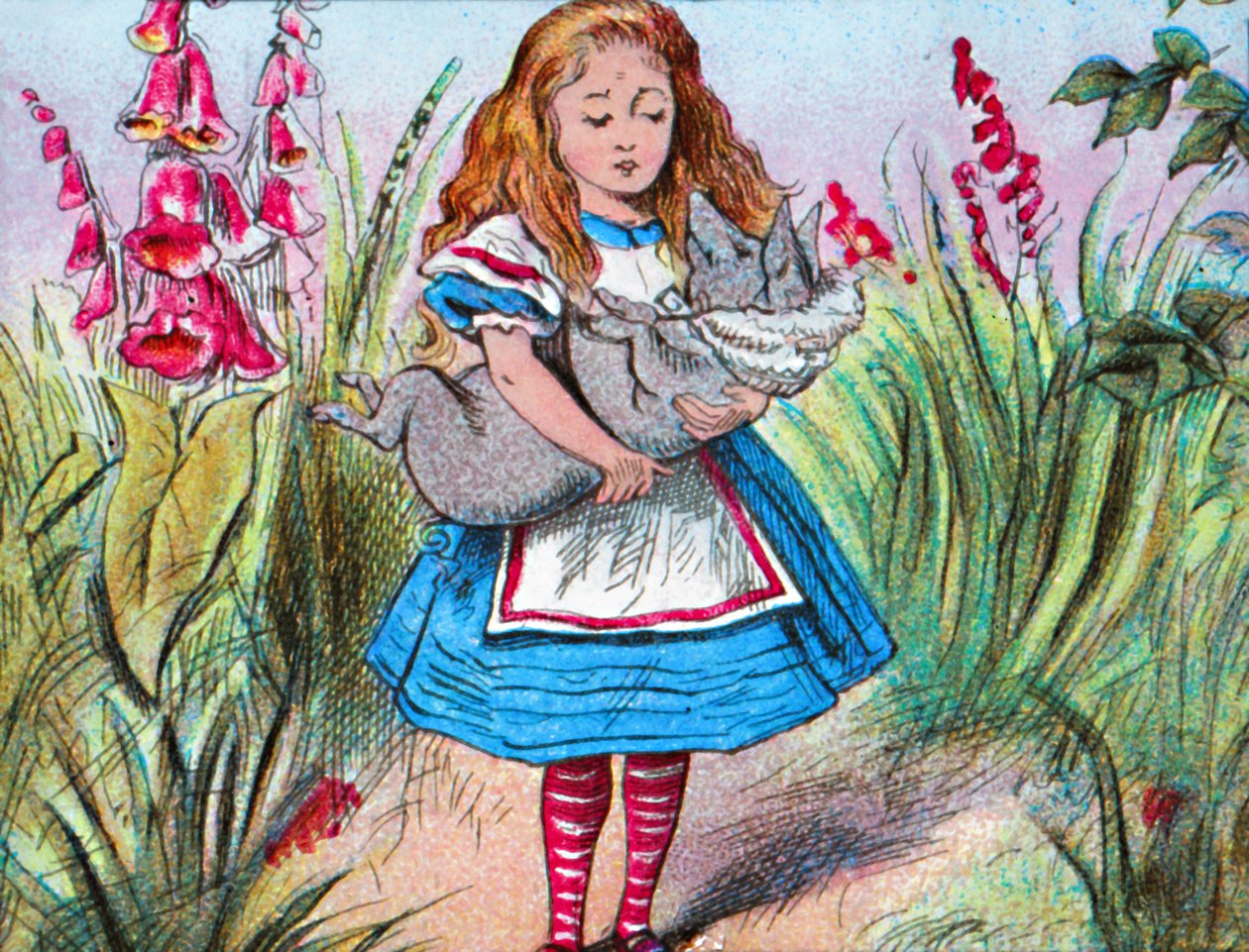 Alice holder en gris i sine arme., c1910. af John Tenniel