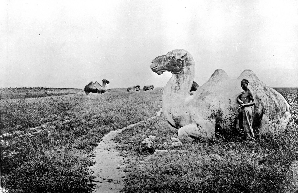 Kina, udskårne kameler fra Imperial Way, ca. 1870 (foto) af John Thomson