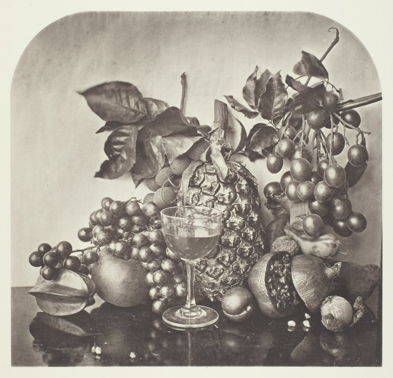 Frugt af John Thomson