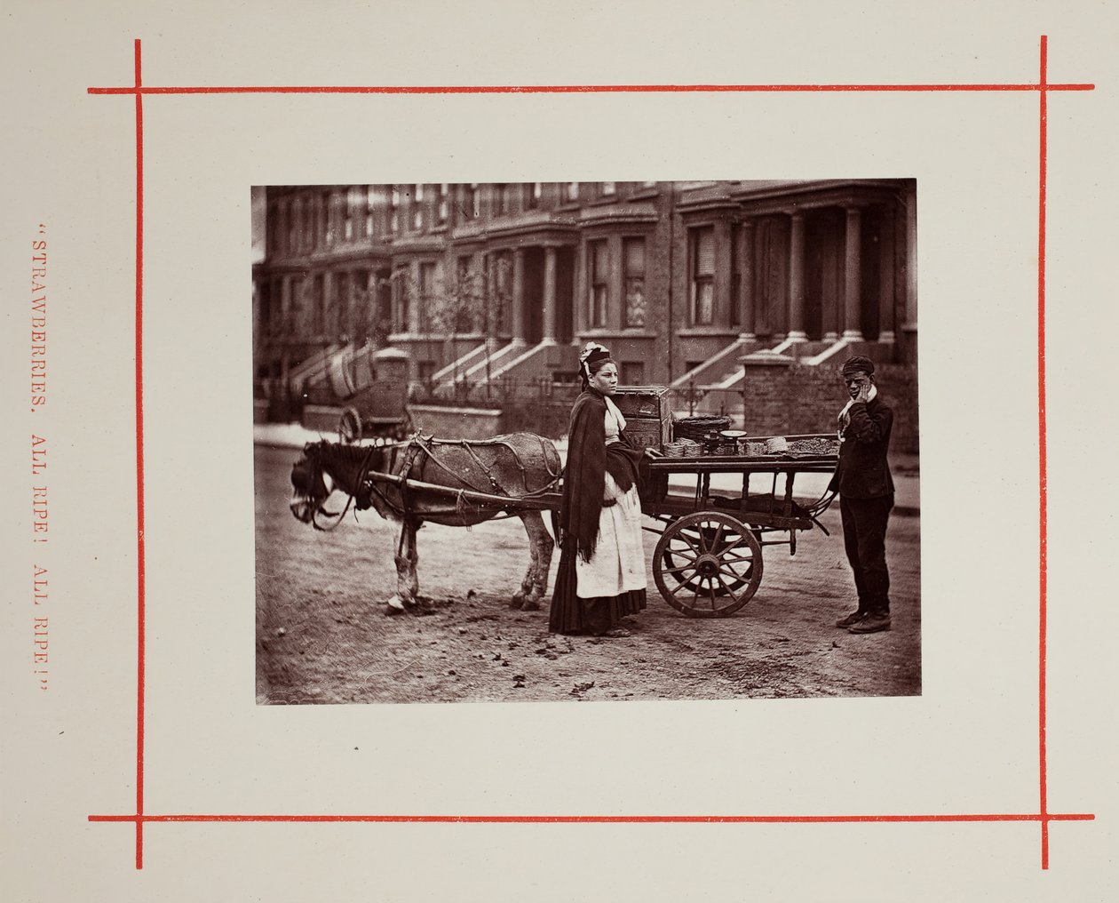 Jordbær. Alle modne! Helt moden!, 1877. af John Thomson