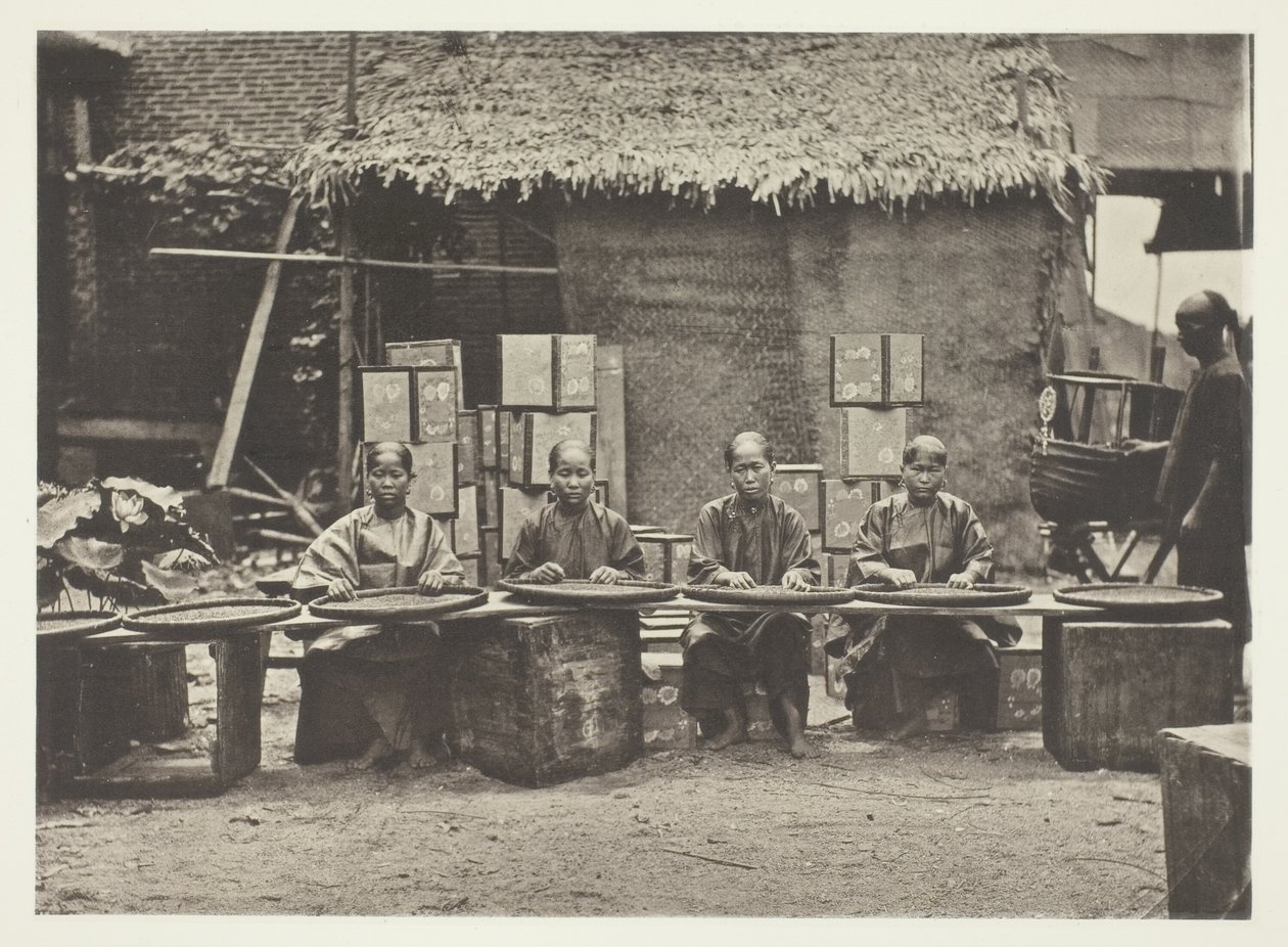 Teplukning i Canton af John Thomson