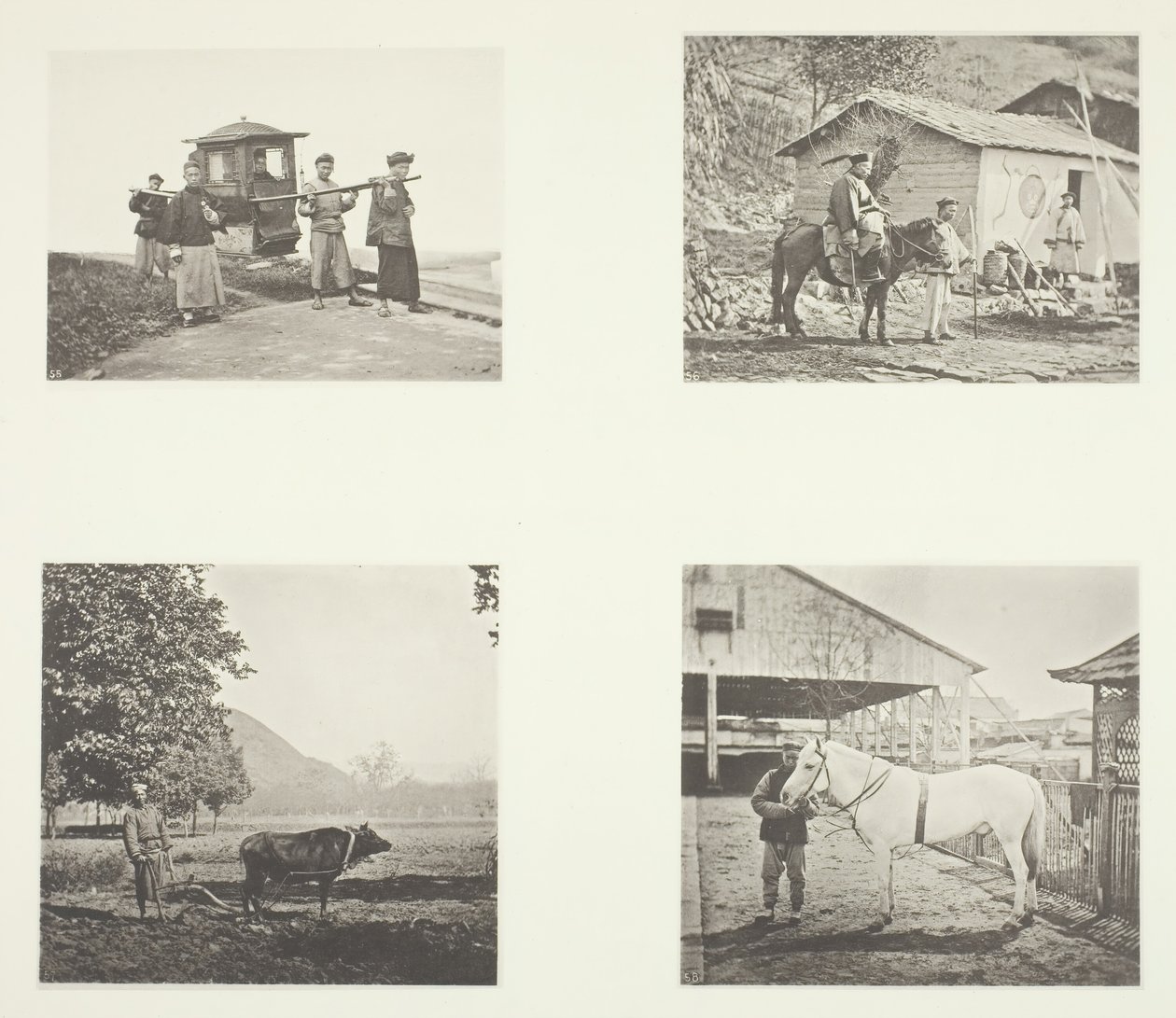 Sedanen, en militærofficer, ploven, en nordkinesisk pony, ca. 1868. af John Thomson