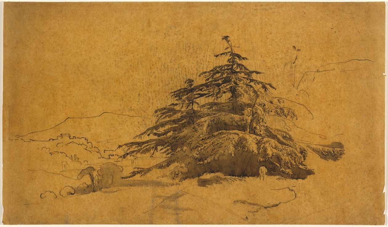 Studie von Bäumen in einer Landschaft af John Varley