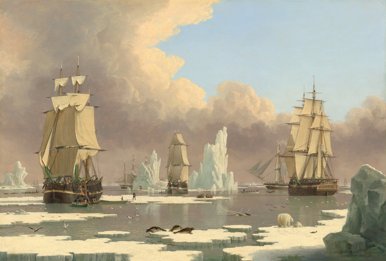 The Northern Whale Fishery: "Svanen" og "Isabella" af John Ward of Hull