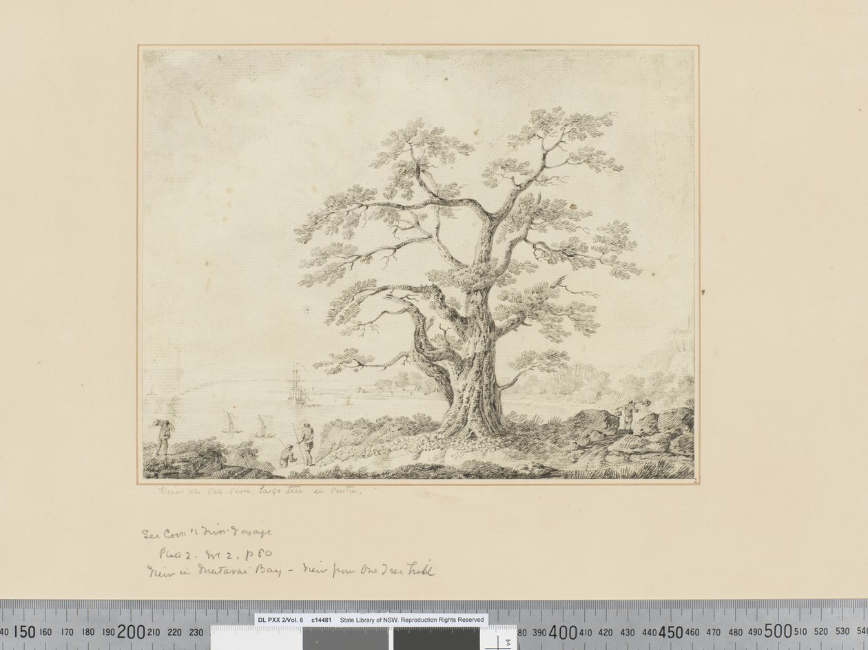 F.44 Udsigt på havkysten, stort træ i midten, ca. 1783-84 af John Webber