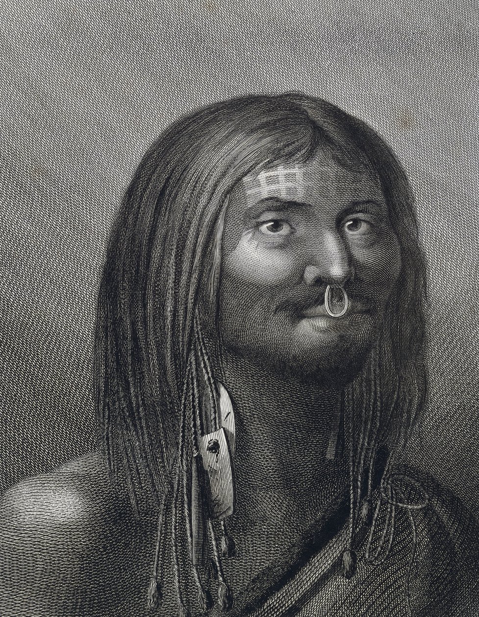 Polynesisk mand fra Nootka Sound, illustration af John Webber (1752-1793) lavet under tredje rejse (1776-1779) af James Cook (1728-1779), af John Webber