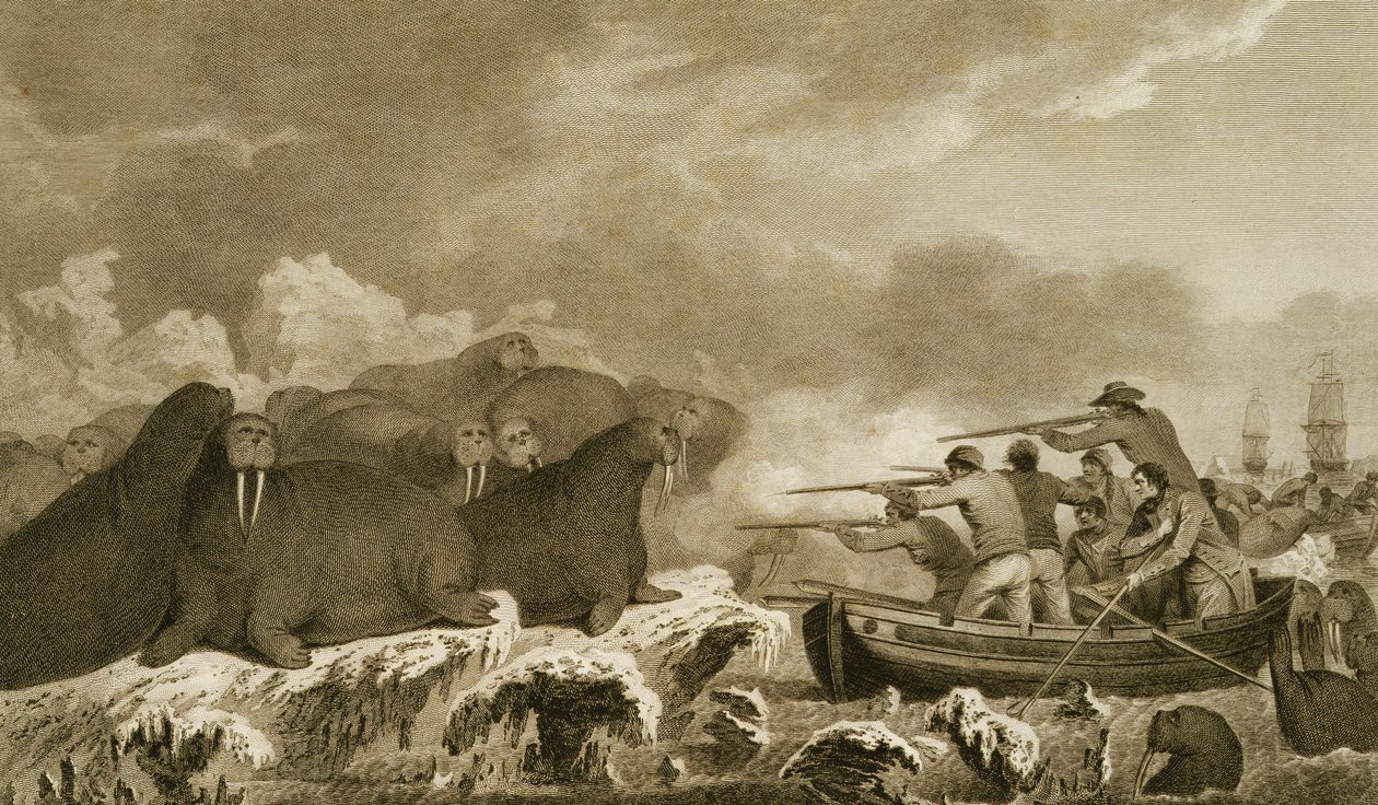 Sea Horses, figurer af J. Heath, indgraveret af E. Scott plade 52 fra 