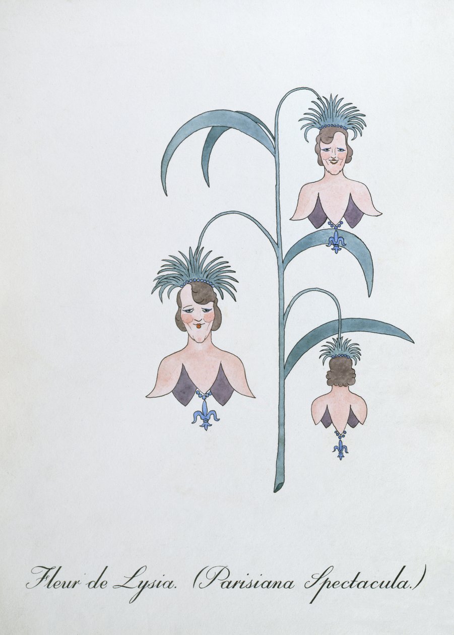 Fleur de Lysia (Parisiana Spectacula.), illustration fra 