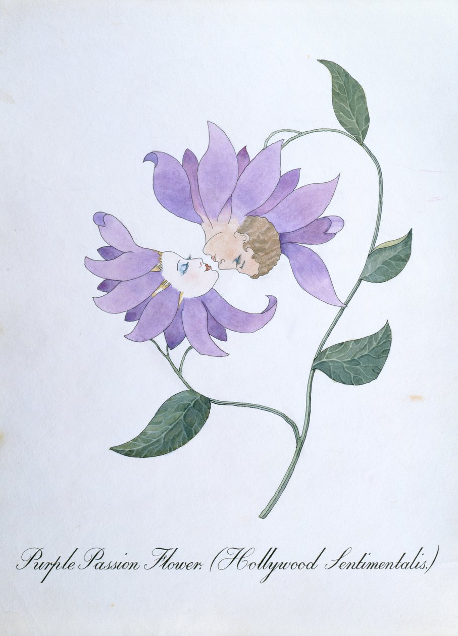 Purple Passion Flower (Hollywood Sentimentalis), illustration fra 