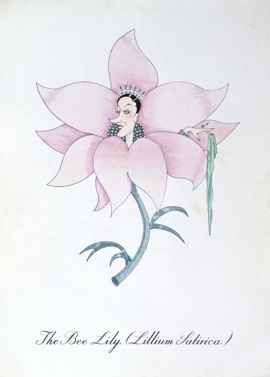 The Bee Lily (Lilium Satirical.), illustration fra 