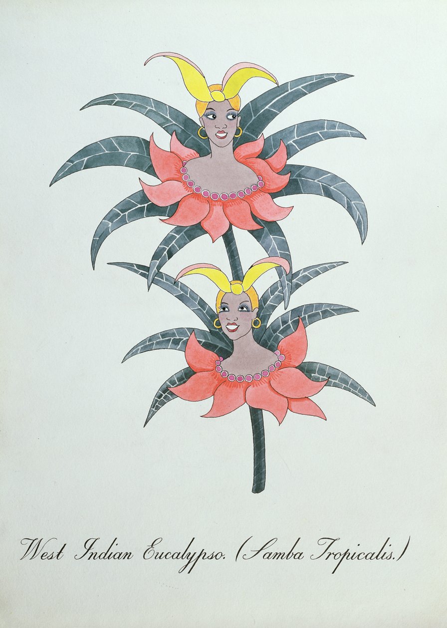 West Indian Eucalypso (Samba Tropicalis.), illustration fra 