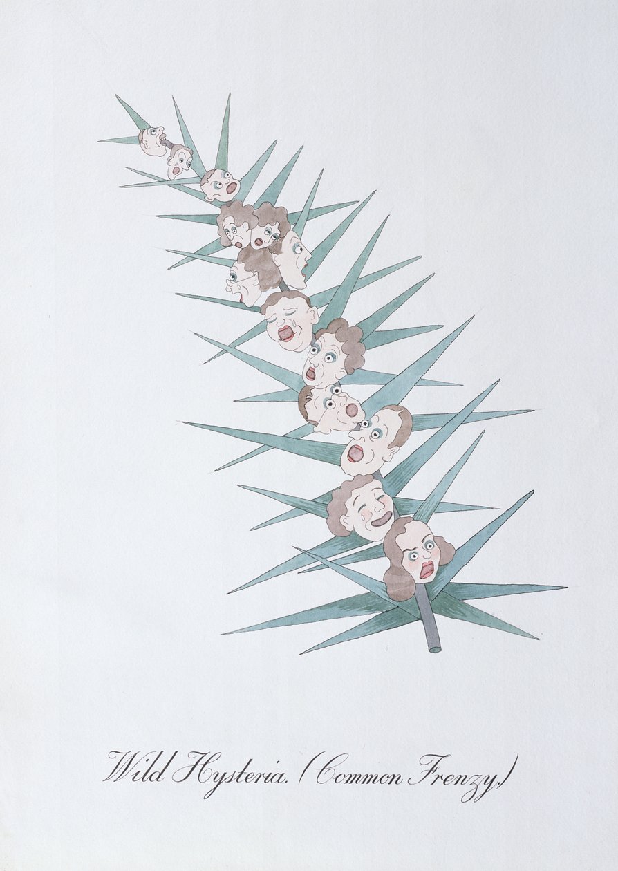 Wild Hysteria (Common Frenzy.), illustration fra 