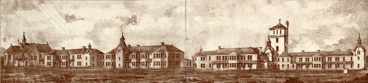 The Newcastle upon Tyne Lunatic Asylum, Coxlodge, ca. 1829 (photolitho) af John William Dyson