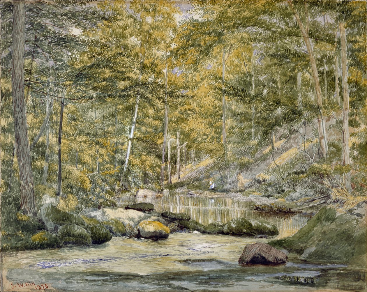 Woodland Pool with Men Fishing, 1870 (wc på papir) af John William Hill